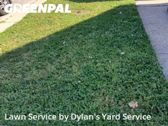 Grass Cutin Cicero,60804,Lawn Service by Dylan's Yard Service , work completed in Nov , 2025