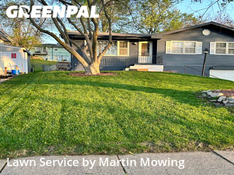 Yard Cutting nearby Bellevue, NE, 