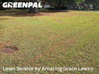 Grass Cuttingin Lawrenceville,30046,Lawn Cutting by Amazing Grace Lawns, work completed in Nov , 2025