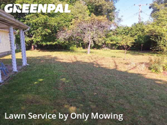 Lawn Service nearby Albany, NY, 