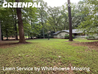 Lawn Cut nearby Raleigh, NC, 