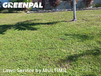 Grass Cutin Largo,33778,Lawn Mow by MULTIMIL , work completed in Dec , 2025