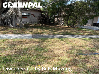 Lawn Cut nearby Seminole, FL, 