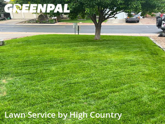 Lawn Cutting nearby Thornton, CO, 