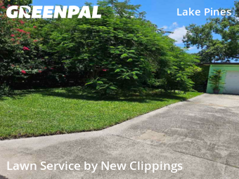 Yard Cutting nearby Clearwater, FL, 