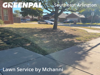 Lawn Care in Arlington, 76002, Lawn Mowing by Mchanni, work completed in Nov , 2025
