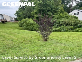 Lawn Service nearby Glen Allen, VA, 