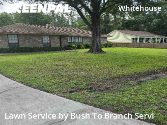 Lawn Service nearby Jacksonville, FL, 