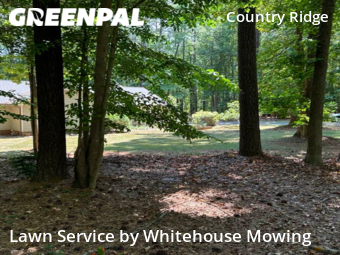 Lawn Cut nearby Raleigh, NC, 