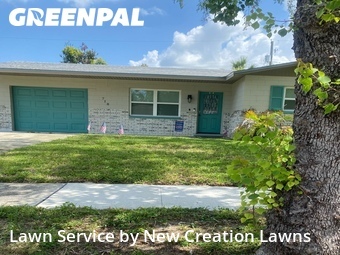 Grass Cut nearby Brandon, FL, 