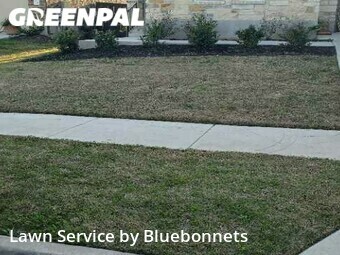 Lawn Cutting nearby Liberty Hill, TX, 