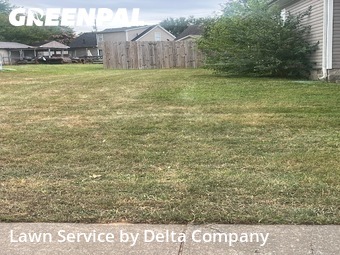 Lawn Cut nearby Bowling Green, KY, 