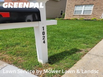 Lawn Mow nearby Spring Hill, TN, 