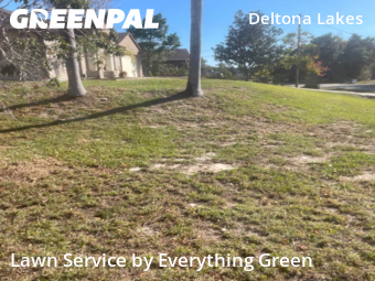 Lawn Cut nearby Deltona, FL, 