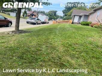 Yard Mowing nearby Indianapolis, IN, 