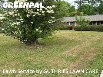 Lawn mowed in Macon, 31210