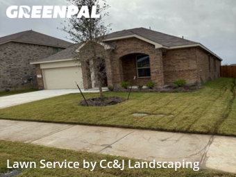Lawn Cut nearby Mc Kinney, TX, 