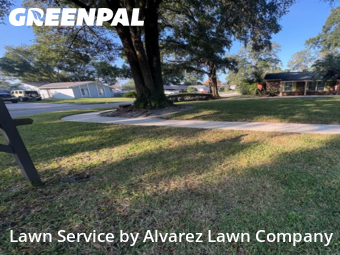 Lawn Cuttingin Altamonte Springs,32714,Yard Cutting by Alvarez Lawn Company, work completed in Jan , 2026