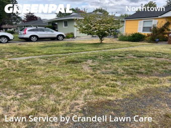 Grass Cut nearby Spokane, WA, 