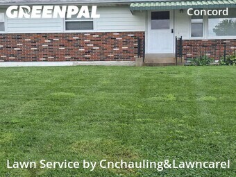 Landscapers In St. Louis,63123,Landscaping Cleanup by Cnchauling&Lawncarel, work completed in Jul , 2026