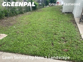 Lawn Mowing nearby Houston, TX, 