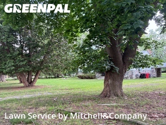 Lawn Mowing nearby Southfield, MI, 