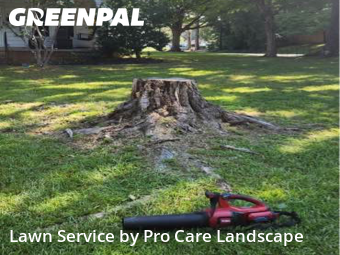 Lawn Maintenance nearby Concord, NC, 