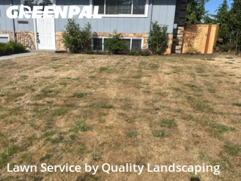 Landscaping Maintenance in Lynnwood, 98036, Lawn Work by Quality Landscaping, work completed in Nov , 2025