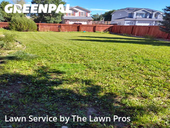 Yard Cutting nearby Thornton, CO, 