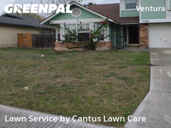 Grass Cutting nearby San Antonio, TX, 