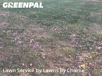 Lawn Care Service nearby Jackson, MI, 