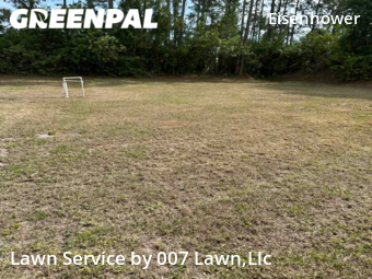 Grass Cut nearby Lehigh Acres, FL, 