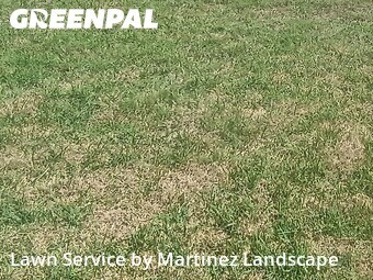 Lawn Care nearby Fruitland Park, FL, 