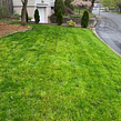 lawn-care-services-in-Malden-MA