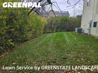 Grass Cut nearby Hoffman Estates, IL, 