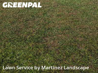 Lawn Work in The Villages, 32162, Yard Upkeep by Martinez Landscape, work completed in Dec , 2025