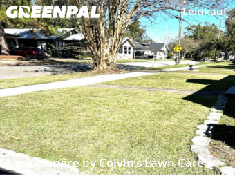 Landscaping Services In Mobile,36604,Landscaping Maintenance by Colvin’s Lawn Care, work completed in Jan , 2026