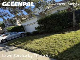 Lawn Care Servicein Tampa,33647,Yard Mowing by Three Vs , work completed in Nov , 2025
