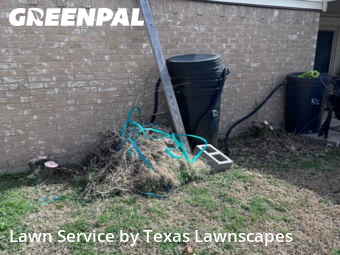 Lawn mowed in Irving, 75060