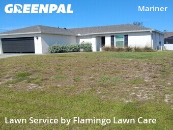 Lawn Mow nearby Cape Coral, FL, 