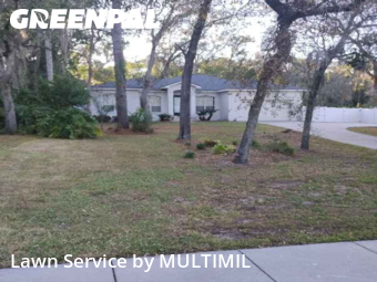 Lawn Upkeep in Temple Terrace, 33617, Lawn Work by MULTIMIL , work completed in Nov , 2025