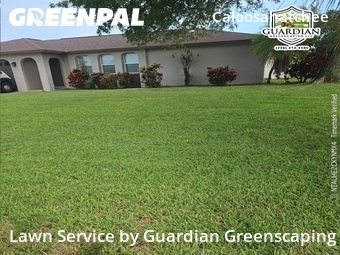 Lawn Cutting nearby Cape Coral, FL, 