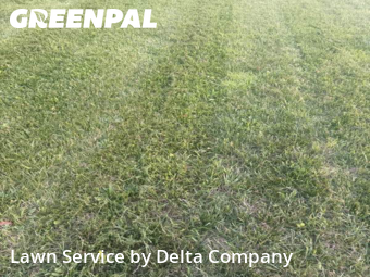 Lawn Maintenance in Bowling Green, 42104, Lawn Upkeep by Delta Company , work completed in Nov , 2025
