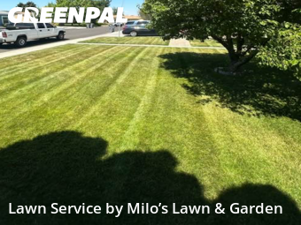 Work completed by cheap-lawn-cutting-businesses-in-Richland-CA