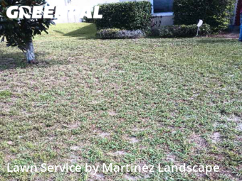 Lawn Care Service nearby Lady Lake, FL, 