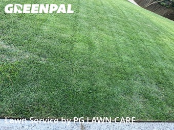 Lawn Mow nearby Snellville, GA, 