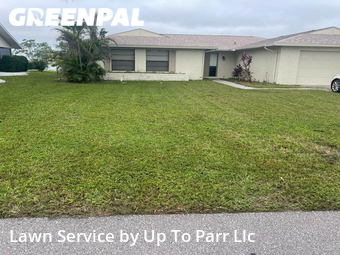 Lawn Cut nearby Cape Coral, FL, 