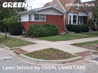 Grass Cutting nearby Chicago, IL, 