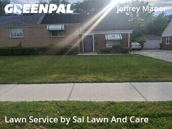 Lawn Mow nearby Chicago, IN, 