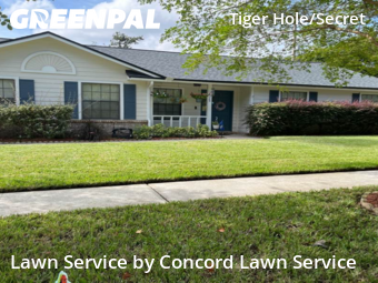 Lawn Mowing Service nearby Jacksonville, FL, 